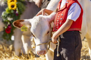 Appenzell, Appenzell Ausserrohden, Appenzeller Hinterland, Brauchtum, Landwirtschaft, Ostschweiz, Schweiz, Schönengrund, Sennen, Suisse, Switzerland, Tracht, Viehschau, Wirtschaft, tradition