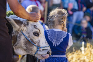 Appenzell, Appenzell Ausserrohden, Appenzeller Hinterland, Brauchtum, Landwirtschaft, Ostschweiz, Schweiz, Schönengrund, Sennen, Suisse, Switzerland, Tracht, Viehschau, Wirtschaft, tradition