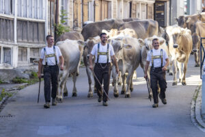 Appenzell, Appenzell Ausserrohden, Appenzeller Hinterland, Brauchtum, Landwirtschaft, Ostschweiz, Schweiz, Schönengrund, Sennen, Suisse, Switzerland, Tracht, Viehschau, Wirtschaft, tradition