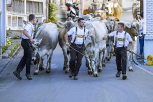 Appenzell, Appenzell Ausserrohden, Appenzeller Hinterland, Brauchtum, Landwirtschaft, Ostschweiz, Schweiz, Schönengrund, Sennen, Suisse, Switzerland, Tracht, Viehschau, Wirtschaft, tradition