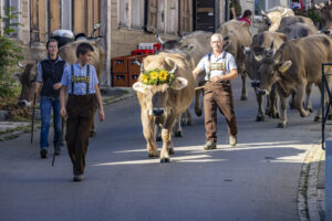 Appenzell, Appenzell Ausserrohden, Appenzeller Hinterland, Brauchtum, Landwirtschaft, Ostschweiz, Schweiz, Schönengrund, Sennen, Suisse, Switzerland, Tracht, Viehschau, Wirtschaft, tradition