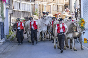 Appenzell, Appenzell Ausserrohden, Appenzeller Hinterland, Brauchtum, Landwirtschaft, Ostschweiz, Schweiz, Schönengrund, Sennen, Suisse, Switzerland, Tracht, Viehschau, Wirtschaft, tradition