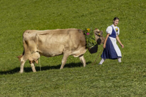 Appenzell, Appenzell Ausserrohden, Appenzeller Hinterland, Brauchtum, Landwirtschaft, Ostschweiz, Schweiz, Schönengrund, Sennen, Suisse, Switzerland, Tracht, Viehschau, Wirtschaft, tradition