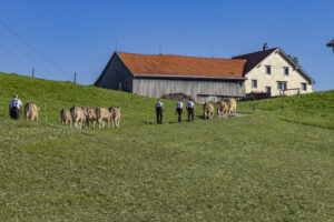 Appenzell, Appenzell Ausserrohden, Appenzeller Hinterland, Brauchtum, Landwirtschaft, Ostschweiz, Schweiz, Schönengrund, Sennen, Suisse, Switzerland, Tracht, Viehschau, Wirtschaft, tradition