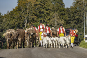 Appenzell, Appenzell Ausserrohden, Appenzeller Hinterland, Brauchtum, Landwirtschaft, Ostschweiz, Schweiz, Schönengrund, Sennen, Suisse, Switzerland, Tracht, Viehschau, Wirtschaft, tradition