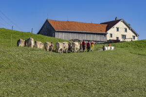Appenzell, Appenzell Ausserrohden, Appenzeller Hinterland, Brauchtum, Landwirtschaft, Ostschweiz, Schweiz, Schönengrund, Sennen, Suisse, Switzerland, Tracht, Viehschau, Wirtschaft, tradition