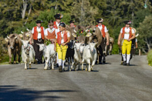 Appenzell, Appenzell Ausserrohden, Appenzeller Hinterland, Brauchtum, Landwirtschaft, Ostschweiz, Schweiz, Schönengrund, Sennen, Suisse, Switzerland, Tracht, Viehschau, Wirtschaft, tradition