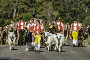 Appenzell, Appenzell Ausserrohden, Appenzeller Hinterland, Brauchtum, Landwirtschaft, Ostschweiz, Schweiz, Schönengrund, Sennen, Suisse, Switzerland, Tracht, Viehschau, Wirtschaft, tradition