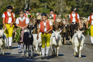 Appenzell, Appenzell Ausserrohden, Appenzeller Hinterland, Brauchtum, Landwirtschaft, Ostschweiz, Schweiz, Schönengrund, Sennen, Suisse, Switzerland, Tracht, Viehschau, Wirtschaft, tradition