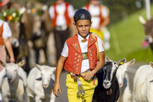 Appenzell, Appenzell Ausserrohden, Appenzeller Hinterland, Brauchtum, Landwirtschaft, Ostschweiz, Schweiz, Schönengrund, Sennen, Suisse, Switzerland, Tracht, Viehschau, Wirtschaft, tradition