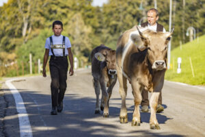 Appenzell, Appenzell Ausserrohden, Appenzeller Hinterland, Brauchtum, Landwirtschaft, Ostschweiz, Schweiz, Schönengrund, Sennen, Suisse, Switzerland, Tracht, Viehschau, Wirtschaft, tradition