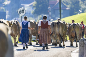 Appenzell, Appenzell Ausserrohden, Appenzeller Hinterland, Brauchtum, Landwirtschaft, Ostschweiz, Schweiz, Schönengrund, Sennen, Suisse, Switzerland, Tracht, Viehschau, Wirtschaft, tradition