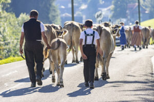 Appenzell, Appenzell Ausserrohden, Appenzeller Hinterland, Brauchtum, Landwirtschaft, Ostschweiz, Schweiz, Schönengrund, Sennen, Suisse, Switzerland, Tracht, Viehschau, Wirtschaft, tradition