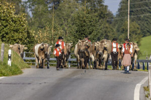 Appenzell, Appenzell Ausserrohden, Appenzeller Hinterland, Brauchtum, Landwirtschaft, Ostschweiz, Schweiz, Schönengrund, Sennen, Suisse, Switzerland, Tracht, Viehschau, Wirtschaft, tradition