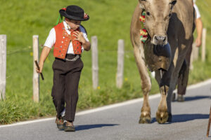 Appenzell, Appenzell Ausserrohden, Appenzeller Hinterland, Brauchtum, Landwirtschaft, Ostschweiz, Schweiz, Schönengrund, Sennen, Suisse, Switzerland, Tracht, Viehschau, Wirtschaft, tradition
