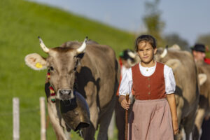 Appenzell, Appenzell Ausserrohden, Appenzeller Hinterland, Brauchtum, Landwirtschaft, Ostschweiz, Schweiz, Schönengrund, Sennen, Suisse, Switzerland, Tracht, Viehschau, Wirtschaft, tradition