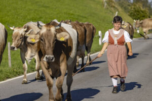 Appenzell, Appenzell Ausserrohden, Appenzeller Hinterland, Brauchtum, Landwirtschaft, Ostschweiz, Schweiz, Schönengrund, Sennen, Suisse, Switzerland, Tracht, Viehschau, Wirtschaft, tradition