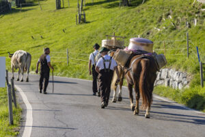 Appenzell, Appenzell Ausserrohden, Appenzeller Hinterland, Brauchtum, Landwirtschaft, Ostschweiz, Schweiz, Schönengrund, Sennen, Suisse, Switzerland, Tracht, Viehschau, Wirtschaft, tradition