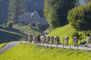 Appenzell, Appenzell Ausserrohden, Appenzeller Hinterland, Brauchtum, Landwirtschaft, Ostschweiz, Schweiz, Schönengrund, Sennen, Suisse, Switzerland, Tracht, Viehschau, Wirtschaft, tradition