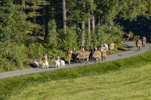 Appenzell, Appenzell Ausserrohden, Appenzeller Hinterland, Brauchtum, Landwirtschaft, Ostschweiz, Schweiz, Schönengrund, Sennen, Suisse, Switzerland, Tracht, Viehschau, Wirtschaft, tradition