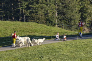 Appenzell, Appenzell Ausserrohden, Appenzeller Hinterland, Brauchtum, Landwirtschaft, Ostschweiz, Schweiz, Schönengrund, Sennen, Suisse, Switzerland, Tracht, Viehschau, Wirtschaft, tradition