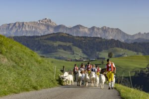 Appenzell, Appenzell Ausserrohden, Appenzeller Hinterland, Brauchtum, Landwirtschaft, Ostschweiz, Schweiz, Schönengrund, Sennen, Suisse, Switzerland, Tracht, Viehschau, Wirtschaft, tradition