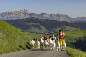 Appenzell, Appenzell Ausserrohden, Appenzeller Hinterland, Brauchtum, Landwirtschaft, Ostschweiz, Schweiz, Schönengrund, Sennen, Suisse, Switzerland, Tracht, Viehschau, Wirtschaft, tradition