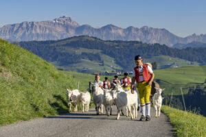 Appenzell, Appenzell Ausserrohden, Appenzeller Hinterland, Brauchtum, Landwirtschaft, Ostschweiz, Schweiz, Schönengrund, Sennen, Suisse, Switzerland, Tracht, Viehschau, Wirtschaft, tradition