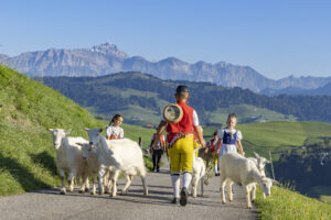Appenzell, Appenzell Ausserrohden, Appenzeller Hinterland, Brauchtum, Landwirtschaft, Ostschweiz, Schweiz, Schönengrund, Sennen, Suisse, Switzerland, Tracht, Viehschau, Wirtschaft, tradition
