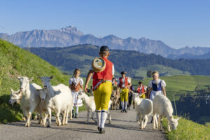 Appenzell, Appenzell Ausserrohden, Appenzeller Hinterland, Brauchtum, Landwirtschaft, Ostschweiz, Schweiz, Schönengrund, Sennen, Suisse, Switzerland, Tracht, Viehschau, Wirtschaft, tradition