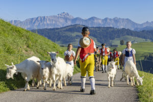 Appenzell, Appenzell Ausserrohden, Appenzeller Hinterland, Brauchtum, Landwirtschaft, Ostschweiz, Schweiz, Schönengrund, Sennen, Suisse, Switzerland, Tracht, Viehschau, Wirtschaft, tradition