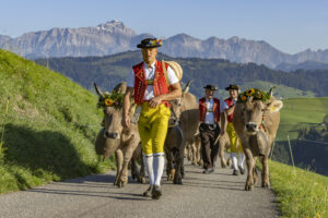 Appenzell, Appenzell Ausserrohden, Appenzeller Hinterland, Brauchtum, Landwirtschaft, Ostschweiz, Schweiz, Schönengrund, Sennen, Suisse, Switzerland, Tracht, Viehschau, Wirtschaft, tradition