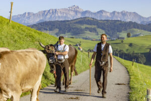 Appenzell, Appenzell Ausserrohden, Appenzeller Hinterland, Brauchtum, Landwirtschaft, Ostschweiz, Schweiz, Schönengrund, Sennen, Suisse, Switzerland, Tracht, Viehschau, Wirtschaft, tradition