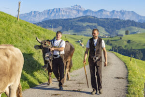 Appenzell, Appenzell Ausserrohden, Appenzeller Hinterland, Brauchtum, Landwirtschaft, Ostschweiz, Schweiz, Schönengrund, Sennen, Suisse, Switzerland, Tracht, Viehschau, Wirtschaft, tradition