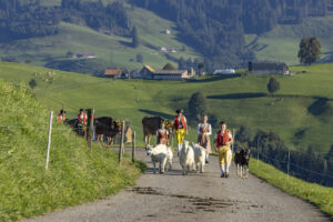 Appenzell, Appenzell Ausserrohden, Appenzeller Hinterland, Brauchtum, Landwirtschaft, Ostschweiz, Schweiz, Schönengrund, Sennen, Suisse, Switzerland, Tracht, Viehschau, Wirtschaft, tradition