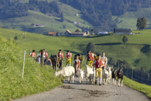 Appenzell, Appenzell Ausserrohden, Appenzeller Hinterland, Brauchtum, Landwirtschaft, Ostschweiz, Schweiz, Schönengrund, Sennen, Suisse, Switzerland, Tracht, Viehschau, Wirtschaft, tradition