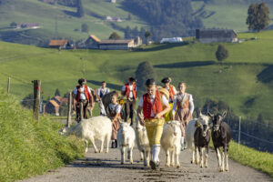 Appenzell, Appenzell Ausserrohden, Appenzeller Hinterland, Brauchtum, Landwirtschaft, Ostschweiz, Schweiz, Schönengrund, Sennen, Suisse, Switzerland, Tracht, Viehschau, Wirtschaft, tradition