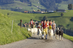 Appenzell, Appenzell Ausserrohden, Appenzeller Hinterland, Brauchtum, Landwirtschaft, Ostschweiz, Schweiz, Schönengrund, Sennen, Suisse, Switzerland, Tracht, Viehschau, Wirtschaft, tradition