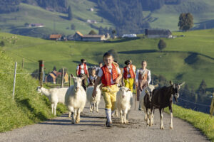 Appenzell, Appenzell Ausserrohden, Appenzeller Hinterland, Brauchtum, Landwirtschaft, Ostschweiz, Schweiz, Schönengrund, Sennen, Suisse, Switzerland, Tracht, Viehschau, Wirtschaft, tradition