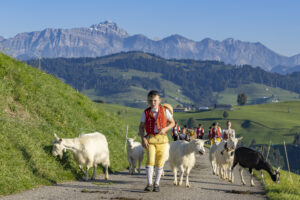 Appenzell, Appenzell Ausserrohden, Appenzeller Hinterland, Brauchtum, Landwirtschaft, Ostschweiz, Schweiz, Schönengrund, Sennen, Suisse, Switzerland, Tracht, Viehschau, Wirtschaft, tradition