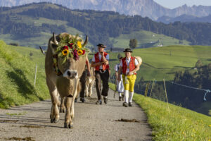 Appenzell, Appenzell Ausserrohden, Appenzeller Hinterland, Brauchtum, Landwirtschaft, Ostschweiz, Schweiz, Schönengrund, Sennen, Suisse, Switzerland, Tracht, Viehschau, Wirtschaft, tradition