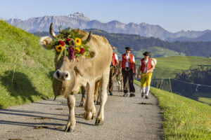 Appenzell, Appenzell Ausserrohden, Appenzeller Hinterland, Brauchtum, Landwirtschaft, Ostschweiz, Schweiz, Schönengrund, Sennen, Suisse, Switzerland, Tracht, Viehschau, Wirtschaft, tradition