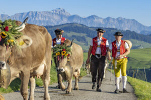 Appenzell, Appenzell Ausserrohden, Appenzeller Hinterland, Brauchtum, Landwirtschaft, Ostschweiz, Schweiz, Schönengrund, Sennen, Suisse, Switzerland, Tracht, Viehschau, Wirtschaft, tradition