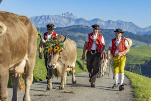 Appenzell, Appenzell Ausserrohden, Appenzeller Hinterland, Brauchtum, Landwirtschaft, Ostschweiz, Schweiz, Schönengrund, Sennen, Suisse, Switzerland, Tracht, Viehschau, Wirtschaft, tradition