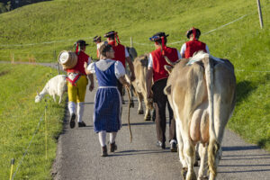 Appenzell, Appenzell Ausserrohden, Appenzeller Hinterland, Brauchtum, Landwirtschaft, Ostschweiz, Schweiz, Schönengrund, Sennen, Suisse, Switzerland, Tracht, Viehschau, Wirtschaft, tradition