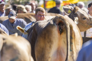 Appenzell, Appenzell Ausserrohden, Appenzeller Hinterland, Brauchtum, Landwirtschaft, Ostschweiz, Schweiz, Stein, Suisse, Switzerland, Tracht, Viehschau, Wirtschaft, tradition
