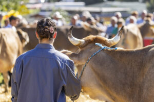 Appenzell, Appenzell Ausserrohden, Appenzeller Hinterland, Brauchtum, Landwirtschaft, Ostschweiz, Schweiz, Stein, Suisse, Switzerland, Tracht, Viehschau, Wirtschaft, tradition