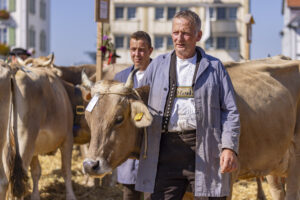 Appenzell, Appenzell Ausserrohden, Appenzeller Hinterland, Brauchtum, Landwirtschaft, Ostschweiz, Schweiz, Stein, Suisse, Switzerland, Tracht, Viehschau, Wirtschaft, tradition