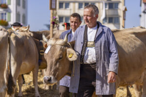Appenzell, Appenzell Ausserrohden, Appenzeller Hinterland, Brauchtum, Landwirtschaft, Ostschweiz, Schweiz, Stein, Suisse, Switzerland, Tracht, Viehschau, Wirtschaft, tradition