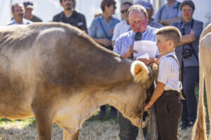 Appenzell, Appenzell Ausserrohden, Appenzeller Hinterland, Brauchtum, Landwirtschaft, Ostschweiz, Schweiz, Stein, Suisse, Switzerland, Tracht, Viehschau, Wirtschaft, tradition